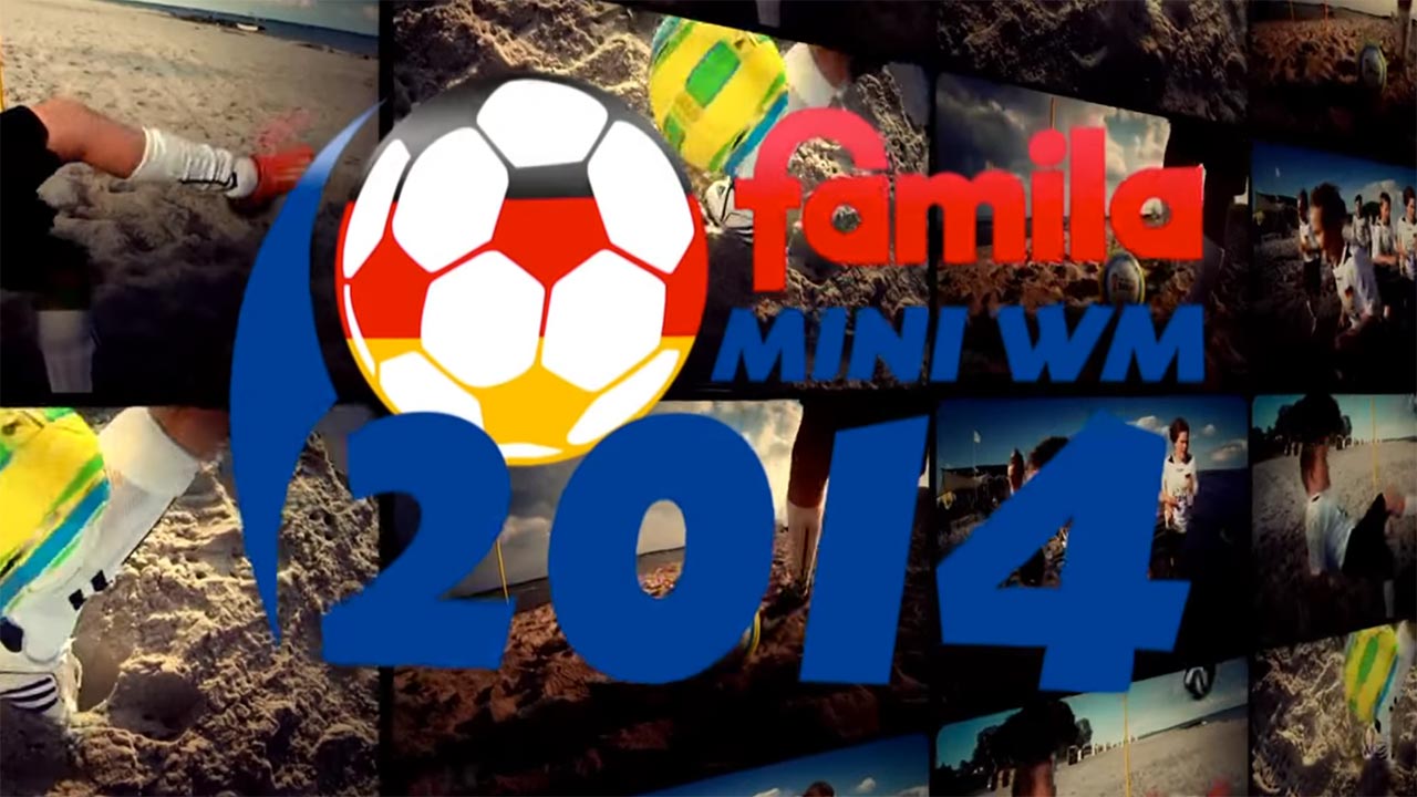 MiniWM2014